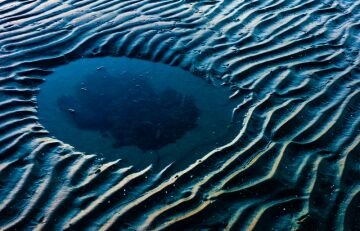 Bay Puddle.jpg